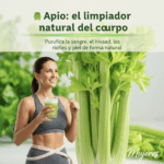 Jugo de Apio para Limpiar Riñones, Hígado y Pulmones Jugo de Apio para Limpiar Riñones, Hígado y Pulmones