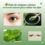 Orégano Brujo: La Planta Milagrosa que Mejora la Visión de Forma Natural Orégano Brujo: La Planta Milagrosa que Mejora la Visión de Forma Natural
