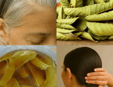 Hojas de Guayaba: El Secreto Natural para un Cabello Fuerte, Piel Radiante y Bienestar Total