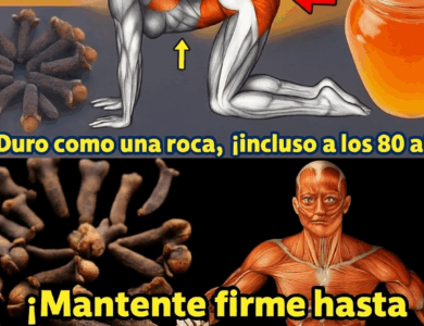 Jengibre, Clavo y Miel: El Trío Milagroso que Transforma tu Bienestar Jengibre, Clavo y Miel: El Trío Milagroso que Transforma tu Bienestar