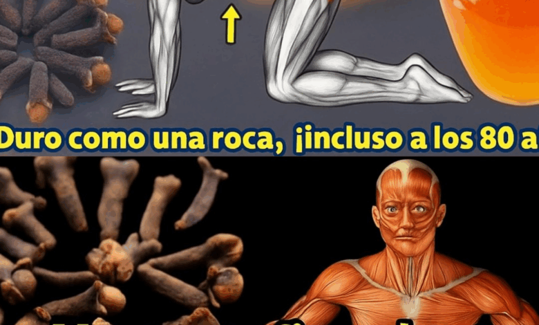 Jengibre, Clavo y Miel: El Trío Milagroso que Transforma tu Bienestar