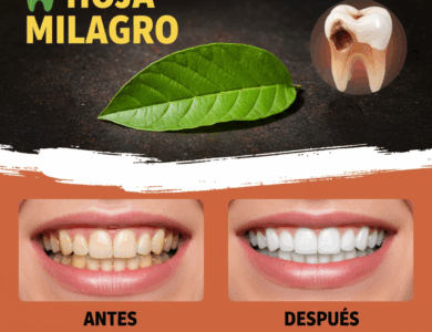 Hojas de Guayaba: El Secreto Natural para una Sonrisa Más Blanca y Saludable