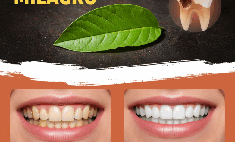Hojas de Guayaba: El Secreto Natural para una Sonrisa Más Blanca y Saludable