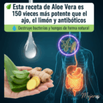 La Cura Definitiva con Aloe Vera: La Defensa Natural Más Poderosa contra Bacterias, Hongos y Toxinas La Cura Definitiva con Aloe Vera: La Defensa Natural Más Poderosa contra Bacterias, Hongos y Toxinas