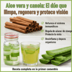 Aloe vera y canela: el dúo natural que fortalece tu salud y protege tu visión