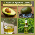 Aceite de Aguacate: El Tesoro Natural para Tu Salud, Piel y Cabello