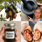 Las Semillas de Papaya: El Tesoro Oculto que Puede Transformar tu Salud Las Semillas de Papaya: El Tesoro Oculto que Puede Transformar tu Salud