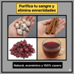 Bebida natural para purificar la sangre y combatir múltiples enfermedades