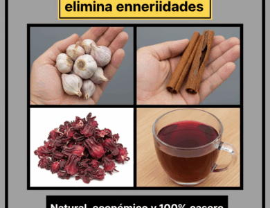 Bebida natural para purificar la sangre y combatir múltiples enfermedades