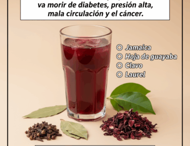 Una infusión poderosa para la circulación, la presión y la diabetes