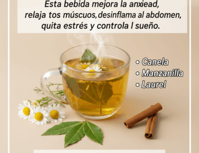 La infusión natural que ayuda a quitar el estrés, mejorar el sueño y relajar el cuerpo La infusión natural que ayuda a quitar el estrés, mejorar el sueño y relajar el cuerpo
