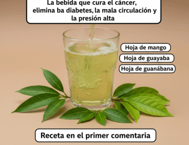 La infusión de hojas naturales recomendada por el Dr. Suárez para la diabetes, la circulación y la presión