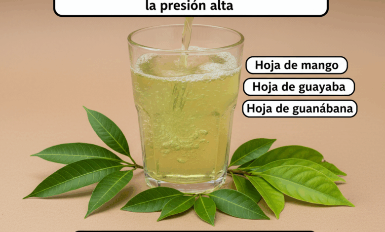 La infusión de hojas naturales recomendada por el Dr. Suárez para la diabetes, la circulación y la presión
