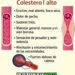 Síntomas del Colesterol Alto: Lo Que Debes Saber para Cuidar Tu Corazón