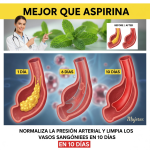 Cómo Limpiar y Proteger tus Arterias de Forma Natural