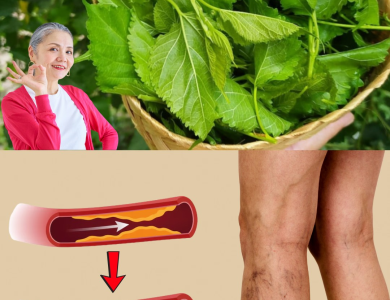 El Neem: La Hoja Milagrosa que Combate la Diabetes, la Presión Alta, el Dolor y Mejora la Circulación El Neem: La Hoja Milagrosa que Combate la Diabetes, la Presión Alta, el Dolor y Mejora la Circulación