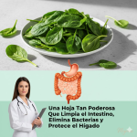 La poderosa espinaca: limpia intestinos, purifica el hígado y fortalece el cuerpo