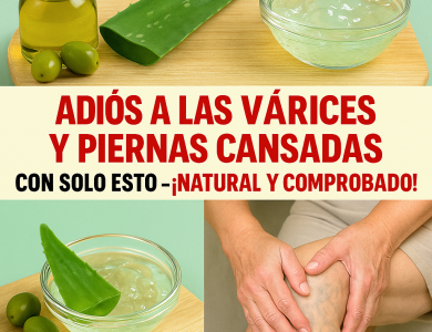 Aloe Vera para Piernas Cansadas y Várices: El Remedio Natural que Mejora la Circulación y Alivia la Inflamación Aloe Vera para Piernas Cansadas y Várices: El Remedio Natural que Mejora la Circulación y Alivia la Inflamación