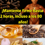 El Elixir Natural de Jengibre, Clavo y Miel: El Remedio Más Poderoso para la Inmunidad, la Digestión y la Energía