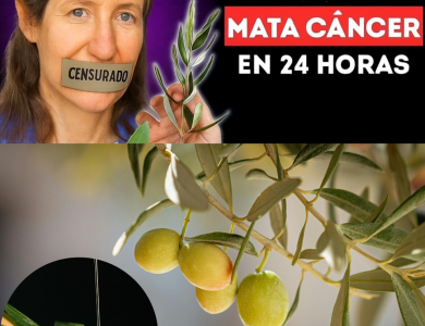 Barbara O’Neill: Sanar el Cuerpo Transformando su Entorno Interno