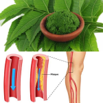Hojas de Neem: El Remedio Natural que Equilibra tu Salud desde Adentro
