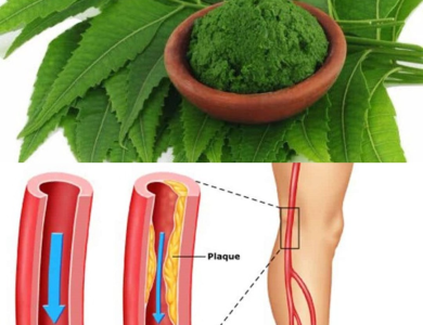 Hojas de Neem: El Remedio Natural que Equilibra tu Salud desde Adentro