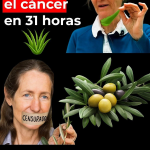 Barbara O’Neill y la Filosofía de la Sanación Integral: Cuidar el Terreno, No Solo la Enfermedad