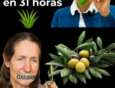 Barbara O’Neill y la Filosofía de la Sanación Integral: Cuidar el Terreno, No Solo la Enfermedad