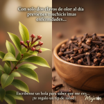 Clavos de Olor: El Tesoro Escondido en tu Cocina que Fortalece tu Salud Naturalmente