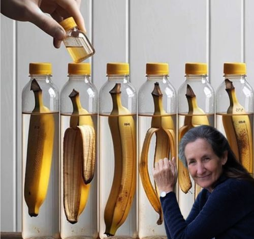 El Truco de la Botella con Cáscaras de Plátano: Convierte tus Residuos en un Fertilizante Natural y Ecológico