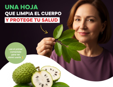 El Potencial Sanador de la Guanábana: ¿Realmente Puede Combatir el Cáncer?