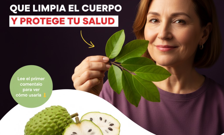 El Potencial Sanador de la Guanábana: ¿Realmente Puede Combatir el Cáncer?