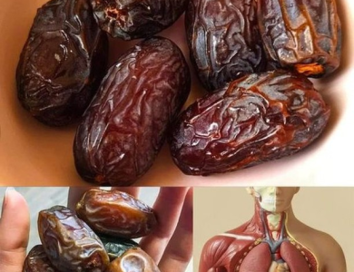 Come Dátiles Antes de Dormir: El Secreto Natural para una Mejor Digestión y Bienestar