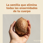 Semilla de Aguacate: El Tesoro Oculto para Tu Salud