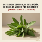 Todo lo que Puedes Hacer con una Sola Planta de Salvia: Los Usos de la Abuela