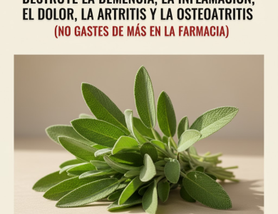 Todo lo que Puedes Hacer con una Sola Planta de Salvia: Los Usos de la Abuela